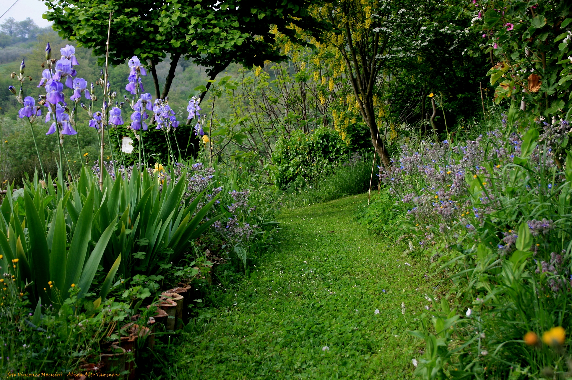 Orto Botanico del Sannio